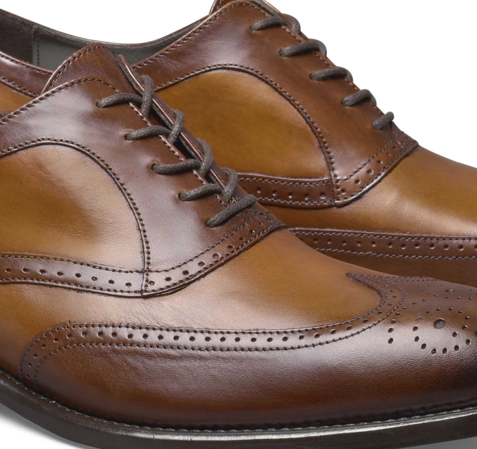 Ellsworth Wingtip