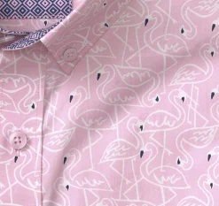 Printed Cotton Short-Sleeve Shirt